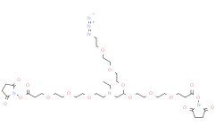 N-(Azido-PEG3)-N-bis(PEG3-NHS ester) 2055042-58-3